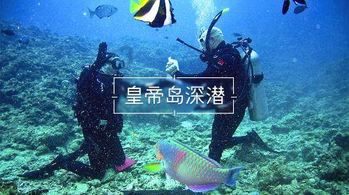 救援修女