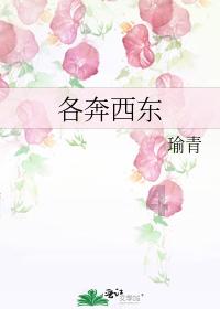 救援修女